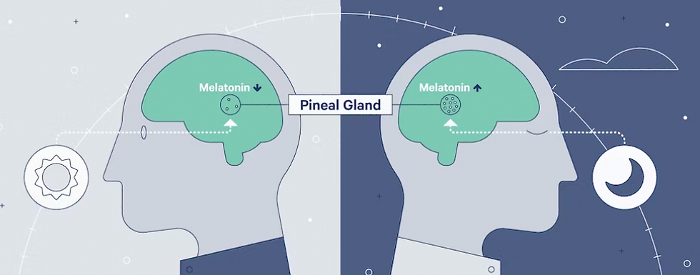 science of sleep melatonin