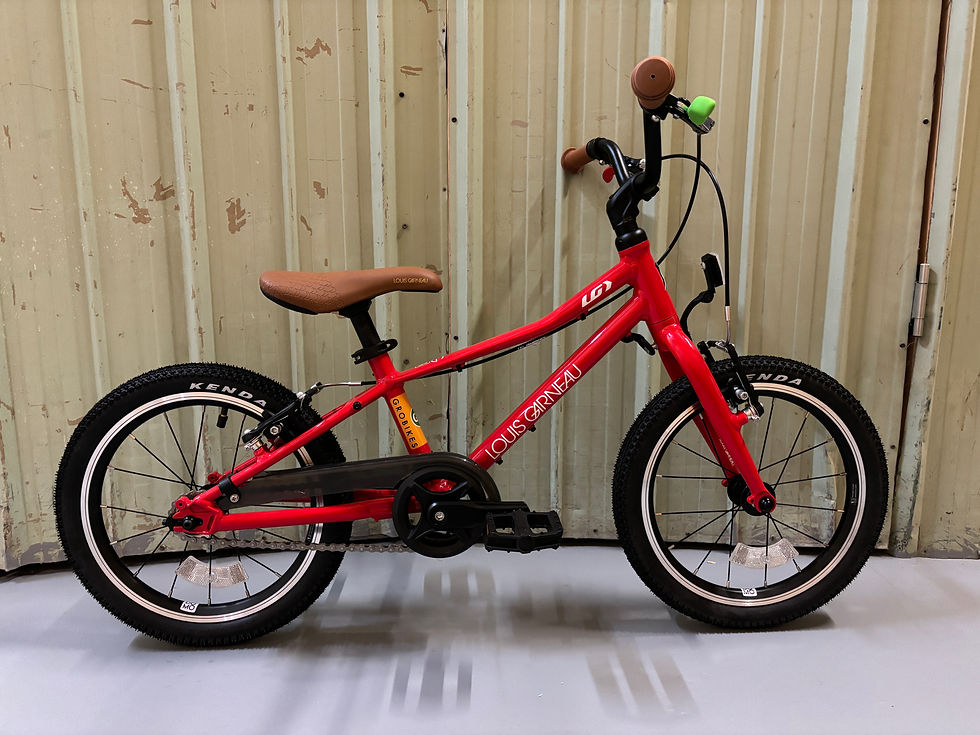 Thumbnail: 16" Wheel Bike (ages 5 -6)