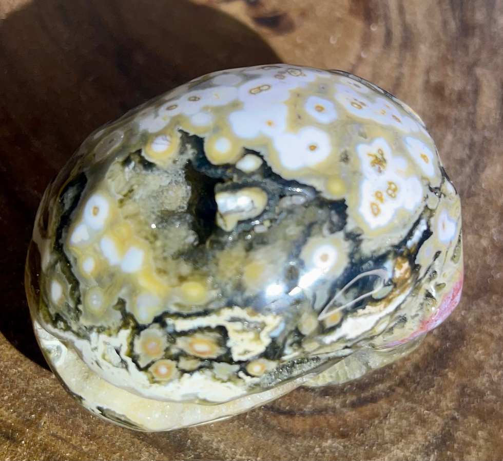 Thumbnail: 8th vein ocean Jasper skull