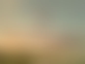 The Dogtown Dispatch: Issue #07