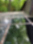 A20F5E7A-1010-4BC2-9A2E-670EF89E35FE_1_2