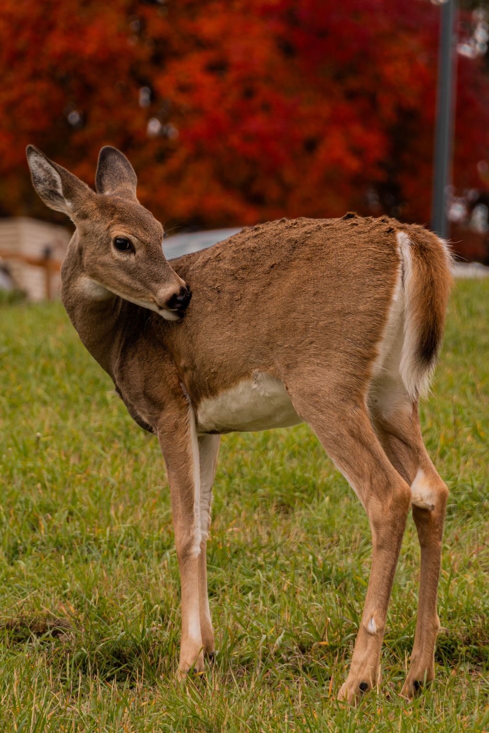 DSC05783.JPG