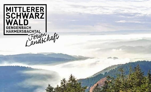 Logo_Mittlerer_Schwarzwald.jpg