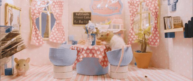 Untitled (2).gif