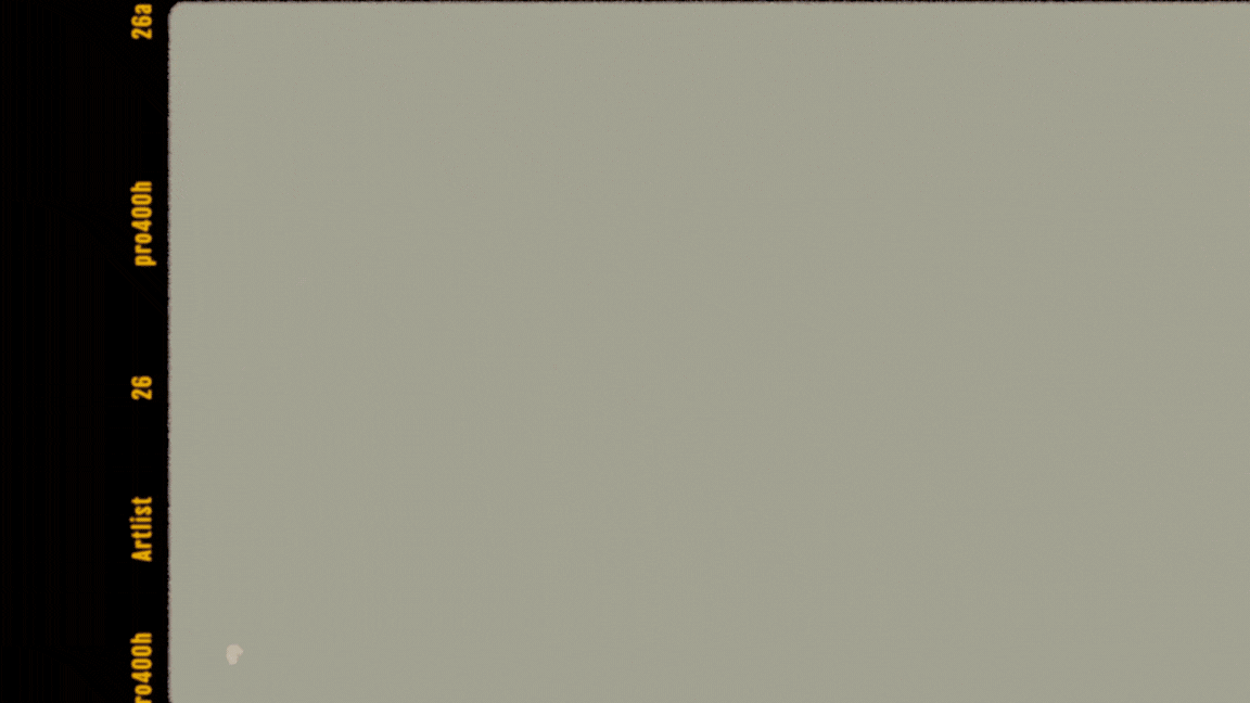 Untitled design (44).gif