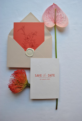 Corallo ©serenadecarolis22.jpg