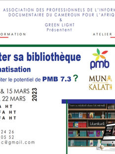 Trois pistes pour surmonter les obstacles liés à la formation des professionnels de bibliothèques en Afrique Francophone