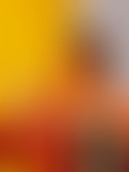 <em>"I’m the Colour of Honey"</em> teaches self-love, acceptance and how to celebrate one’s differences through