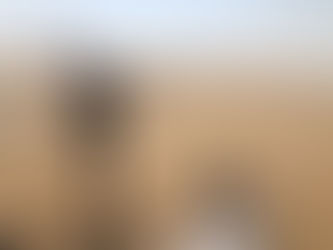 Kiten in der „windy city“