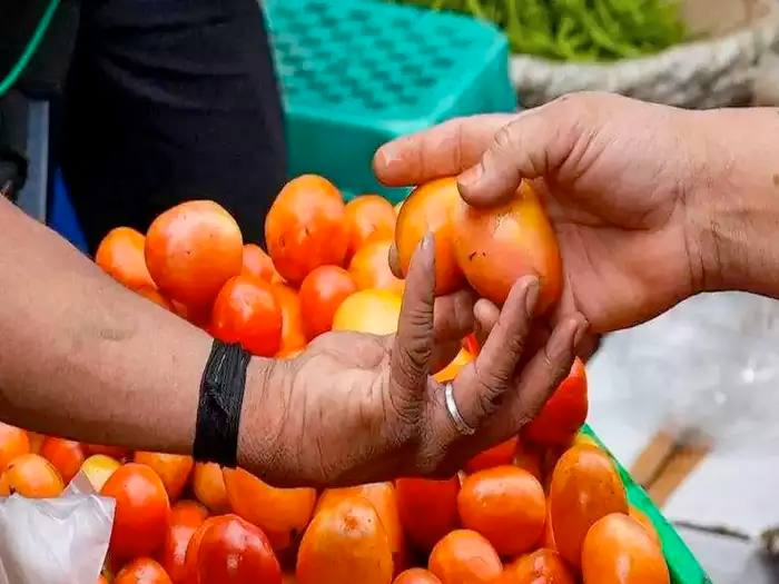 మోత మోగిస్తున్న టమాటా ధరలు..ఆల్ టైం రికార్డు స్థాయికి..కేజీ ఎంతంటే..?