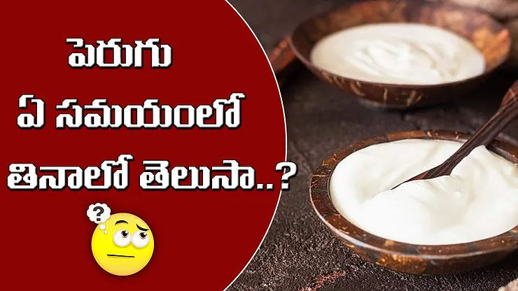 పెరుగు ఏ సమయంలో తినాలో తెలుసా..?