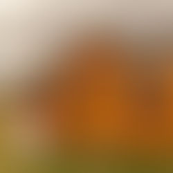 A Whirlwind Start to November: Supporting Local and Sharing Stories