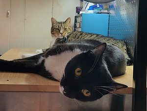 20250811_172942 (1)_edited.jpg