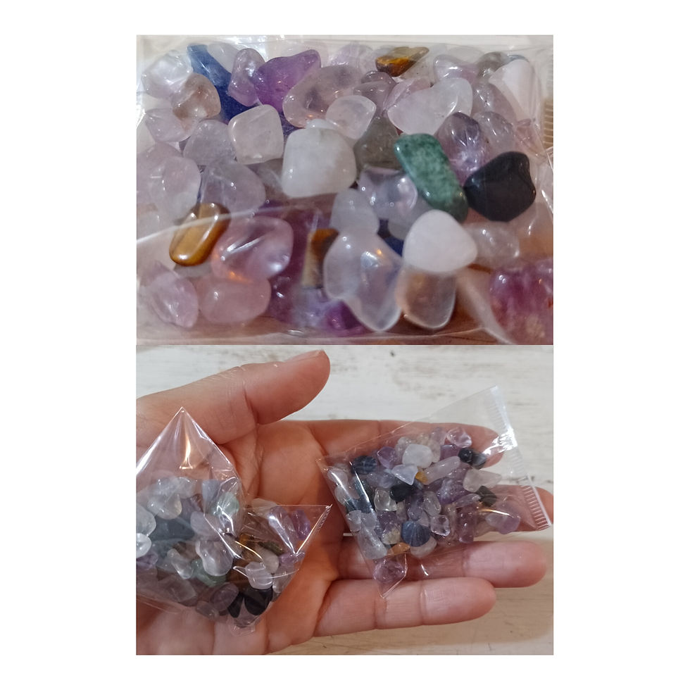 InShot_20260213_173551380