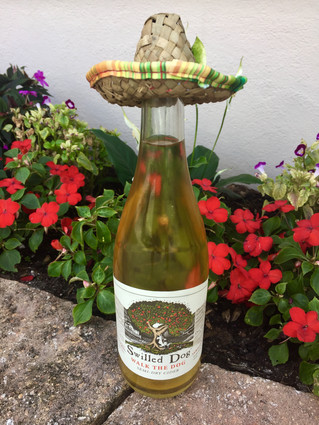 Swilled Dog Cocktail Series - Cinco de Mayo Edition