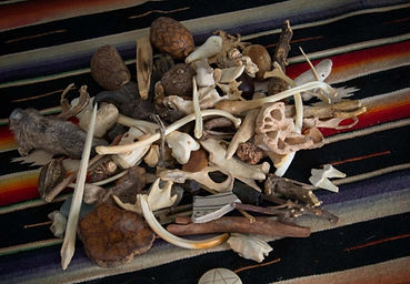 Yulia Applewood Psychic Medium Seance Gallery Group Reading Bone Throwing