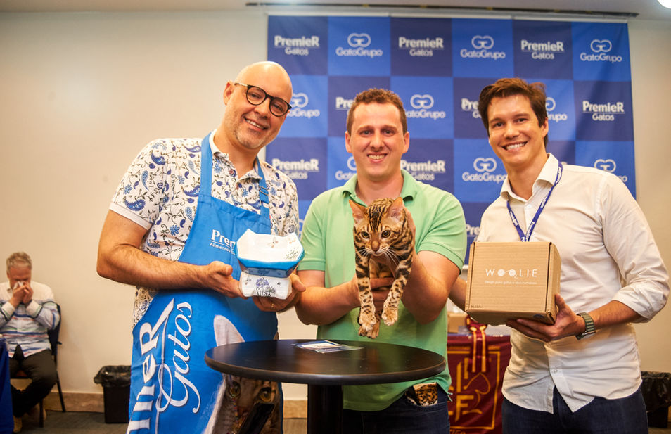 Melhores gatos da raça Bengal do Brasil e do Mundo