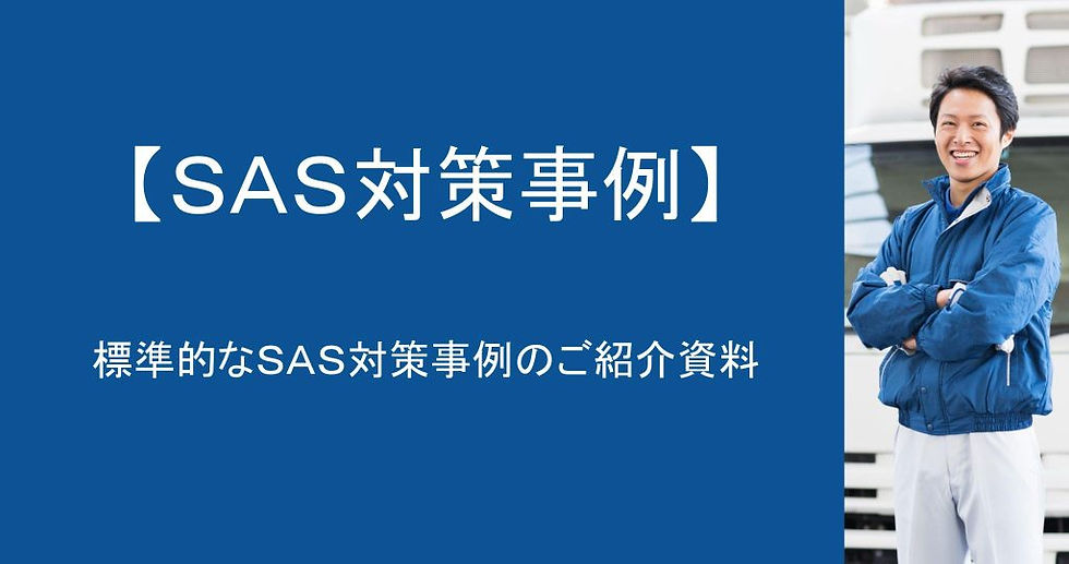 標準的なSAS対策事例