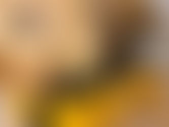 Préparer son séjour en baie de Somme : tout ce qu’il faut savoir