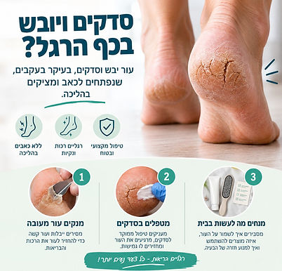 סדקים.jpg