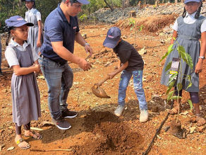 26th November - Tree Plantation