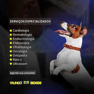 clinicavetmundodosbichos_275040919_1042457253281763_7274551860992310432_n.jpeg