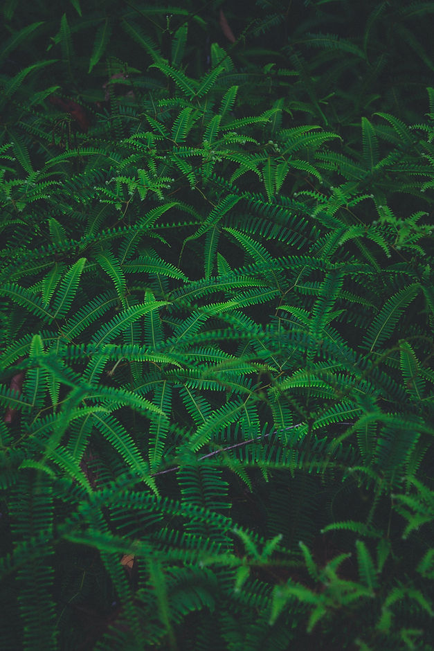 Header_Background.jpg