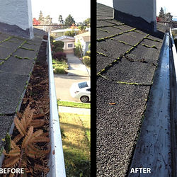 Before and after gutter cleaning