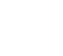 Sten Glory flaticon