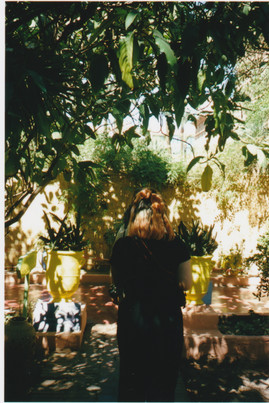 GARDEN WALKS