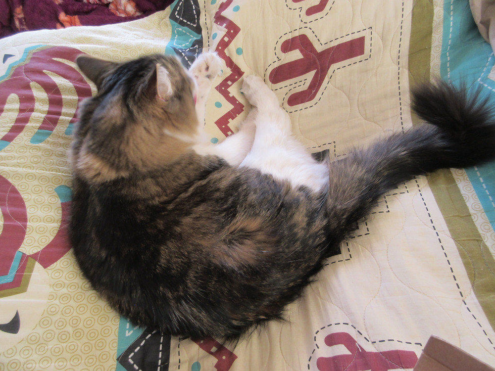 March 2019 Scrawlrbox