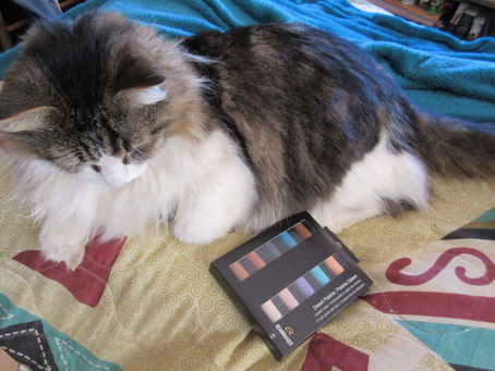 ScrawlrBoxes for August 2019-February 2020 Mega Unboxing!