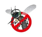 Todos Contra a Dengue