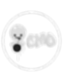 cmo (1).png