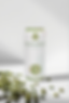 Screenshot 2025-03-31 at 11.26.44 a.m..png