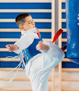 Tae Kwan Do Boy Training