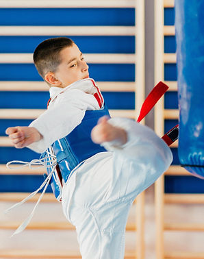 Martial Arts Training