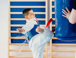 Tae Kwan Do Boy Training