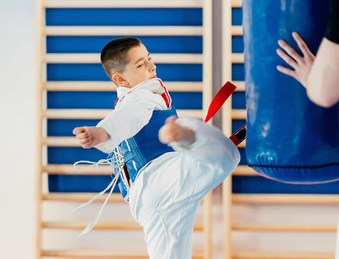 Tae Kwan Do Boy Training