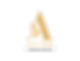Arion Financial Services-01.png