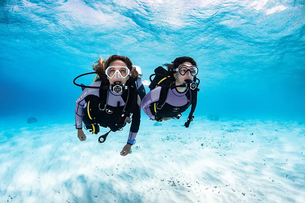 Discover-Scuba-Diving.jpg.webp