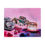 Thumbnail: Spider Cupcake Baking Birthday Celebration- Satin Poster 14"x11"