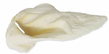 cow ear.jpeg