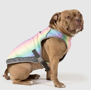 Canada pooch cooling gear.jpg