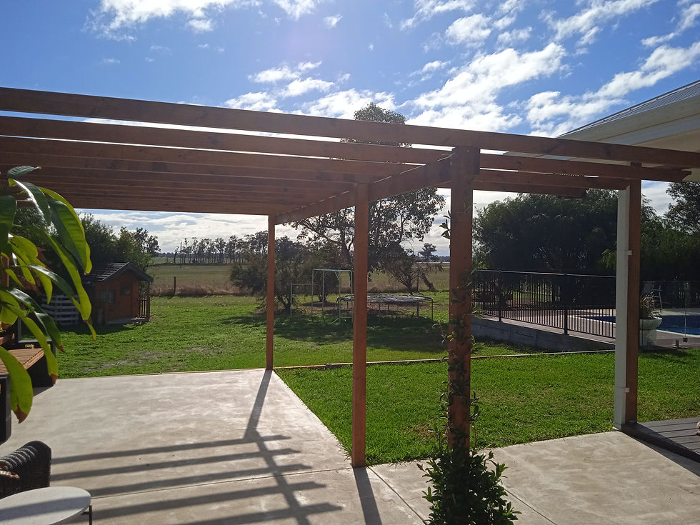 rear yard pic.jpg