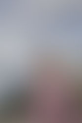 Le riverain, un voisin qui vous veut du bien