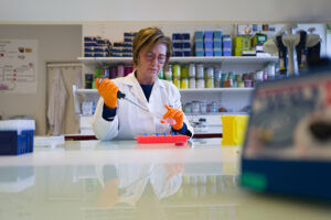 Toxalim. La vie de labo