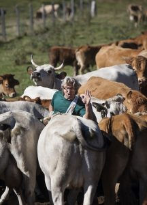 Une vie de néo-pâtre