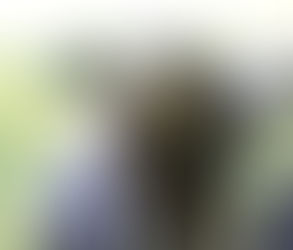 Le vilain petit porc noir