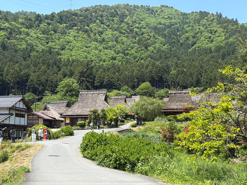 thatched village
